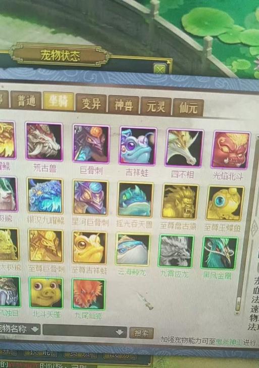 问道手游第一宠物攻略大全（快速获取、培养和提升第一宠物，助你成为顶级玩家！）