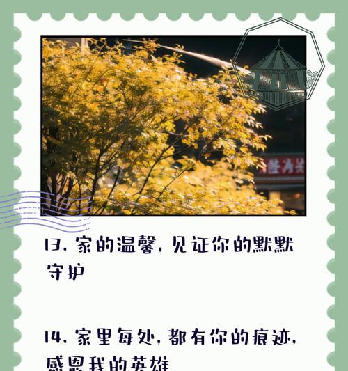 我们的爱巢游戏攻略（用1个，让爱在家中绽放）